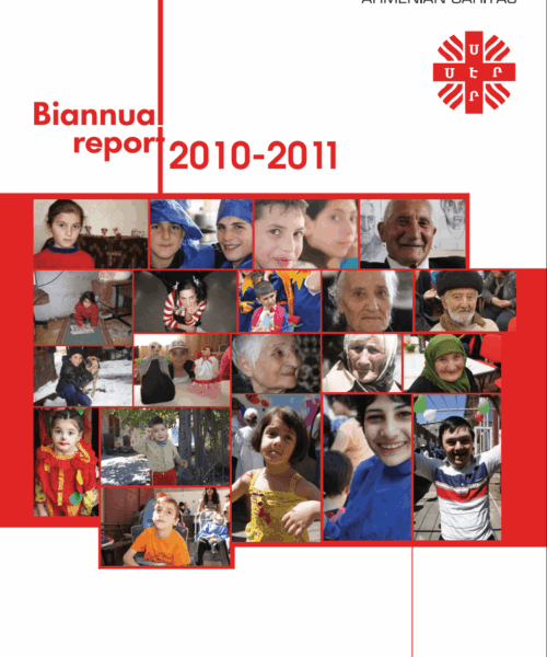 Երկամյա հաշվետվություն(անգլ.)