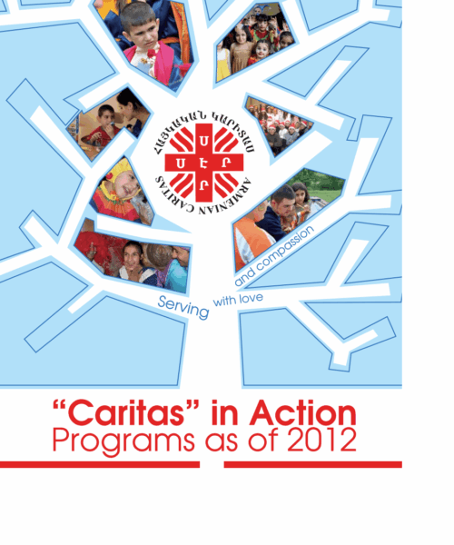 Կարիտասի գործունեություն 2012թ-ի ծրագրեր